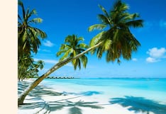 Accor anuncia nuevo hotel de playa en norte del Perú: la marca y los detalles