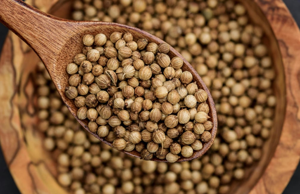 Una nueva resolución del Senasa regula el ingreso de semillas de culantro desde Chile. (Foto: Pexels)