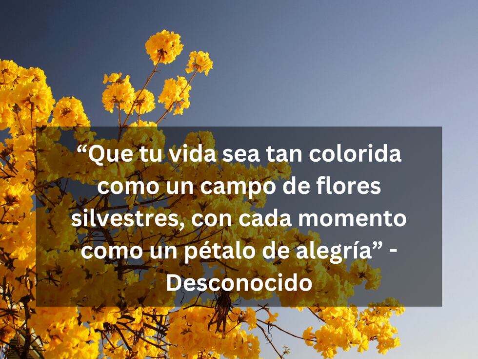 “Que tu vida sea tan colorida como un campo de flores silvestres, con cada momento como un pétalo de alegría” - Desconocido | Foto de Emma Svalstad en Unsplash / Composición Mix