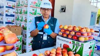 Levantan suspensión de requisitos fitosanitarios para importar fruta de Chile