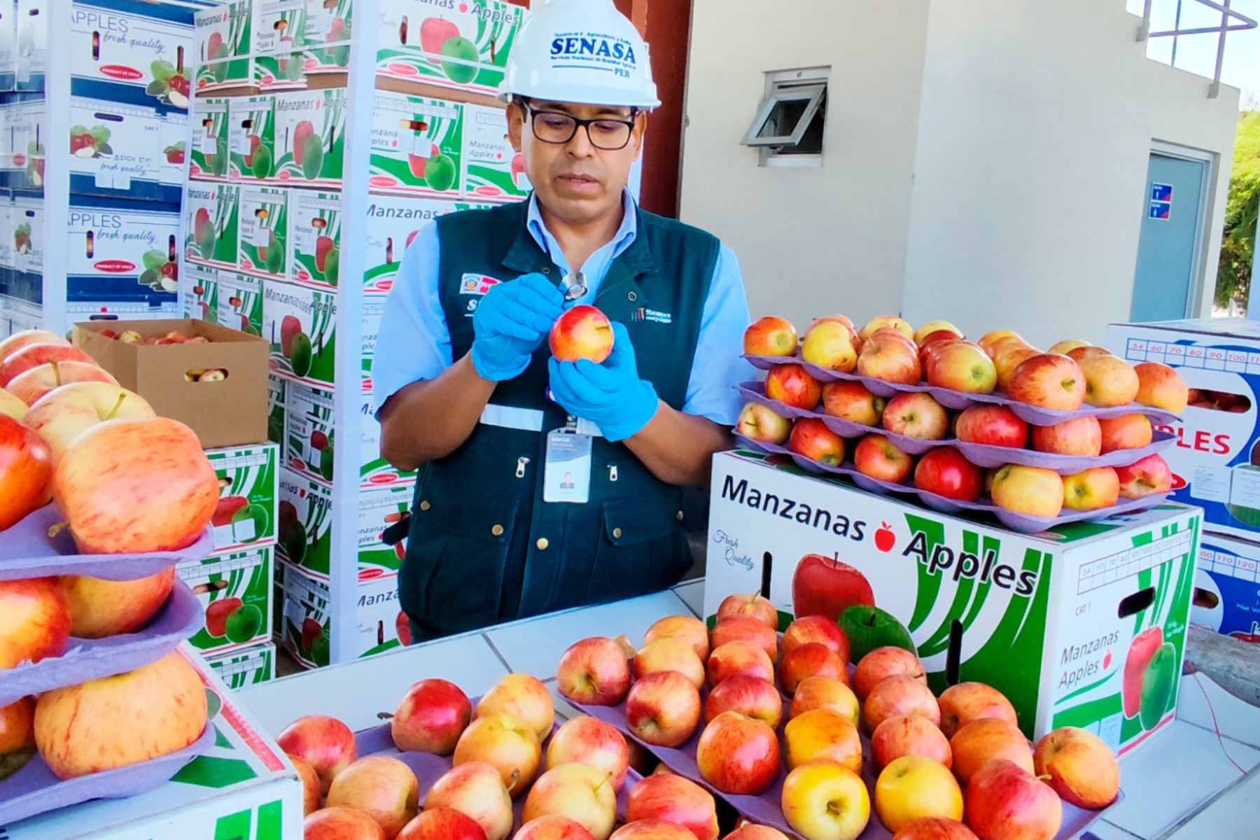 Esta medida permitirá el establecimiento de nuevos requisitos fitosanitarios. Foto: gob.pe
