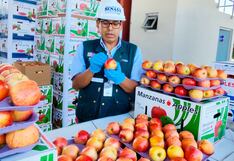 Levantan suspensión de requisitos fitosanitarios para importar fruta de Chile