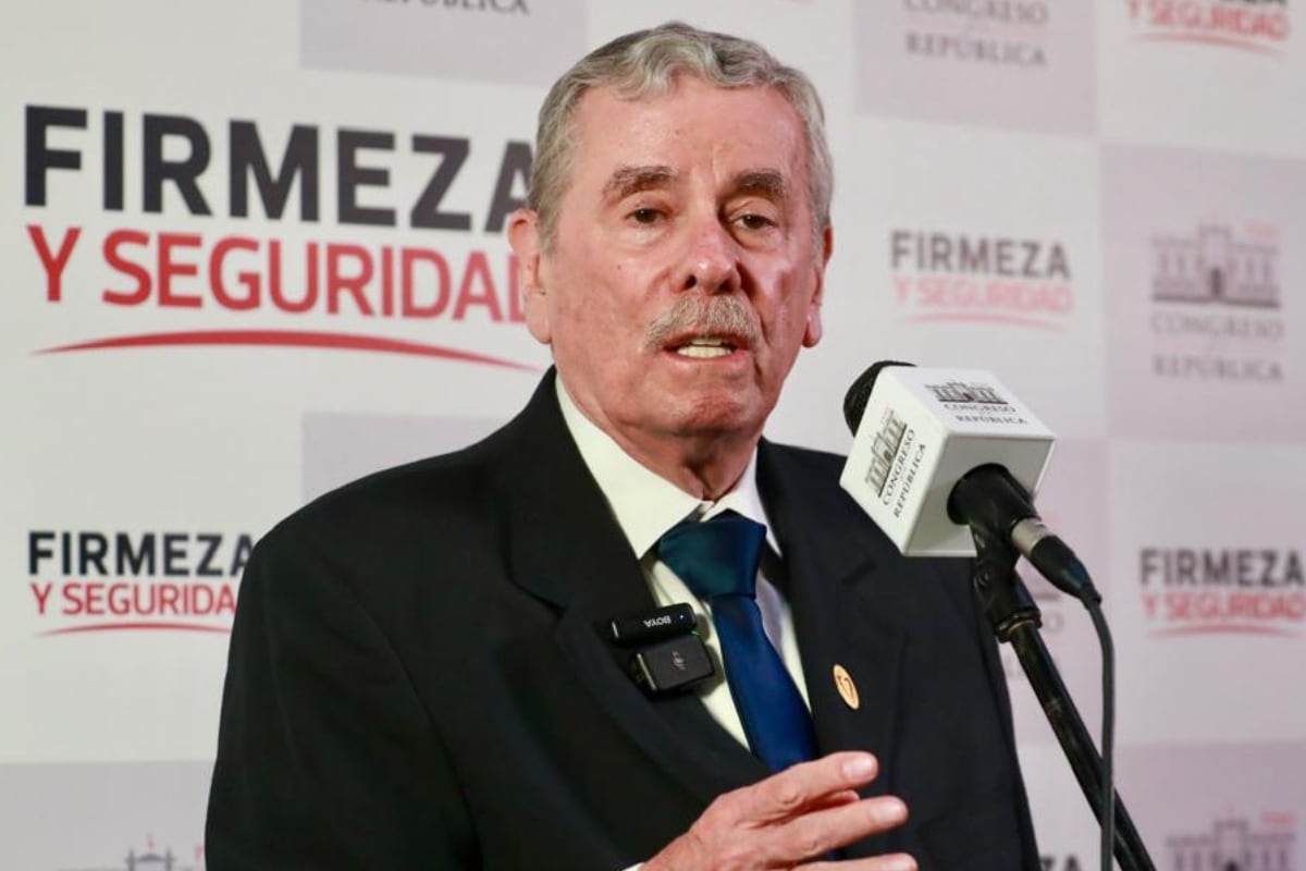 Dejemos que las instituciones y organismos encargados hagan su trabajo; el JNE, JNJ y la fiscalía son los organismos encargados”, señaló el Rospigliosi. (Foto: Congreso)