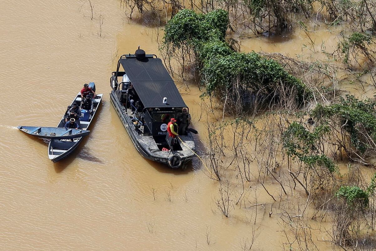 La tendencia a desestimar el valor de la selva es más fuerte en las regiones adonde llegaron migrantes de origen europeo en las décadas de 1960 y 70.