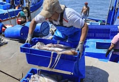 Pota: más de mil embarcaciones artesanales peruanas ya pueden operar en aguas internacionales