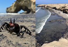 Petroperú confirma derrame de crudo en terminal submarino de la refinería de Talara