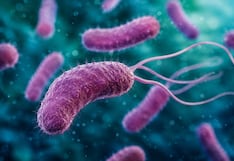 Crece la preocupación en Florida tras confirmarse una nueva muerte por bacteria carnívora