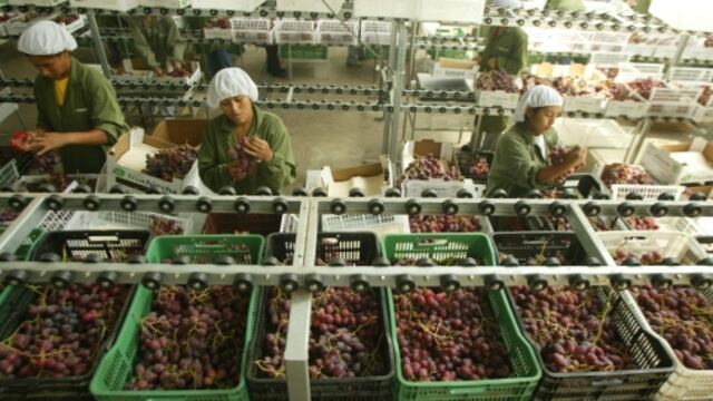 Las exportaciones agrarias sumaron US$ 396 millones en enero