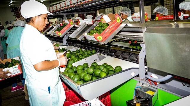 Adex: Alimentos exportados del nororiente podrían sumar US$ 7,000 millones en cinco años
