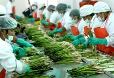 Agrokasa y un adiós a los espárragos tras 27 años: ¿qué cultivo prioriza ahora?