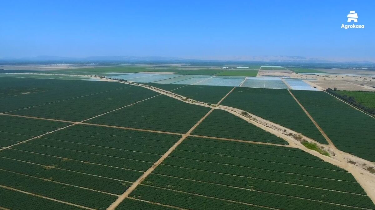 El plan de Agrokasa contempla la construcción de un reservorio con capacidad de 320,000 m3 para asegurar el abastecimiento hídrico. Foto: Andina.