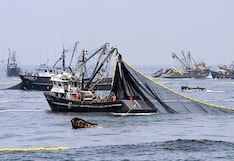 La multiplicación de los peces