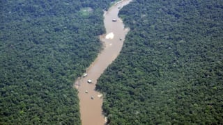 Colombia sufre aumento en explotación ilegal de oro de aluvión, advierte la ONU