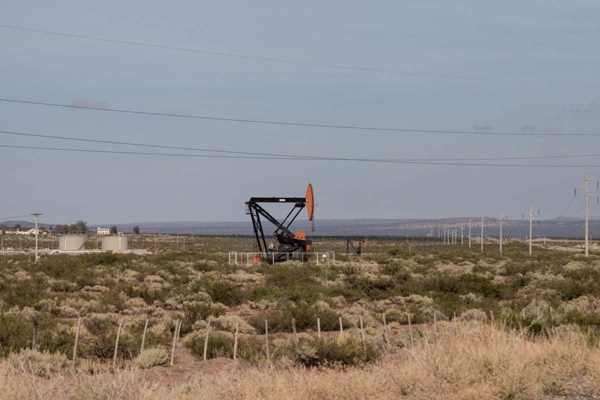 Gatos de bombeo cerca de una instalación de YPF SA en Plaza Huincul, provincia de Neuquén, Argentina, el martes 2 de marzo de 2021.