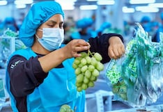 Perú como potencia agroexportadora: 540 productos llegan a 115 mercados