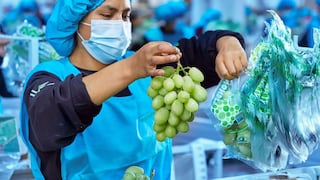 Perú como potencia agroexportadora: 540 productos llegan a 115 mercados