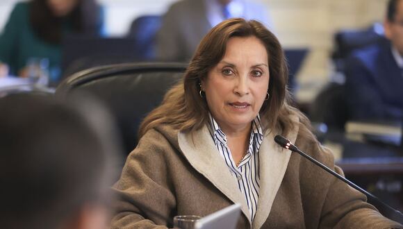El Poder Judicial rechazó la tutela de derechos presentada por Dina Boluarte. (Foto: Presidencia)