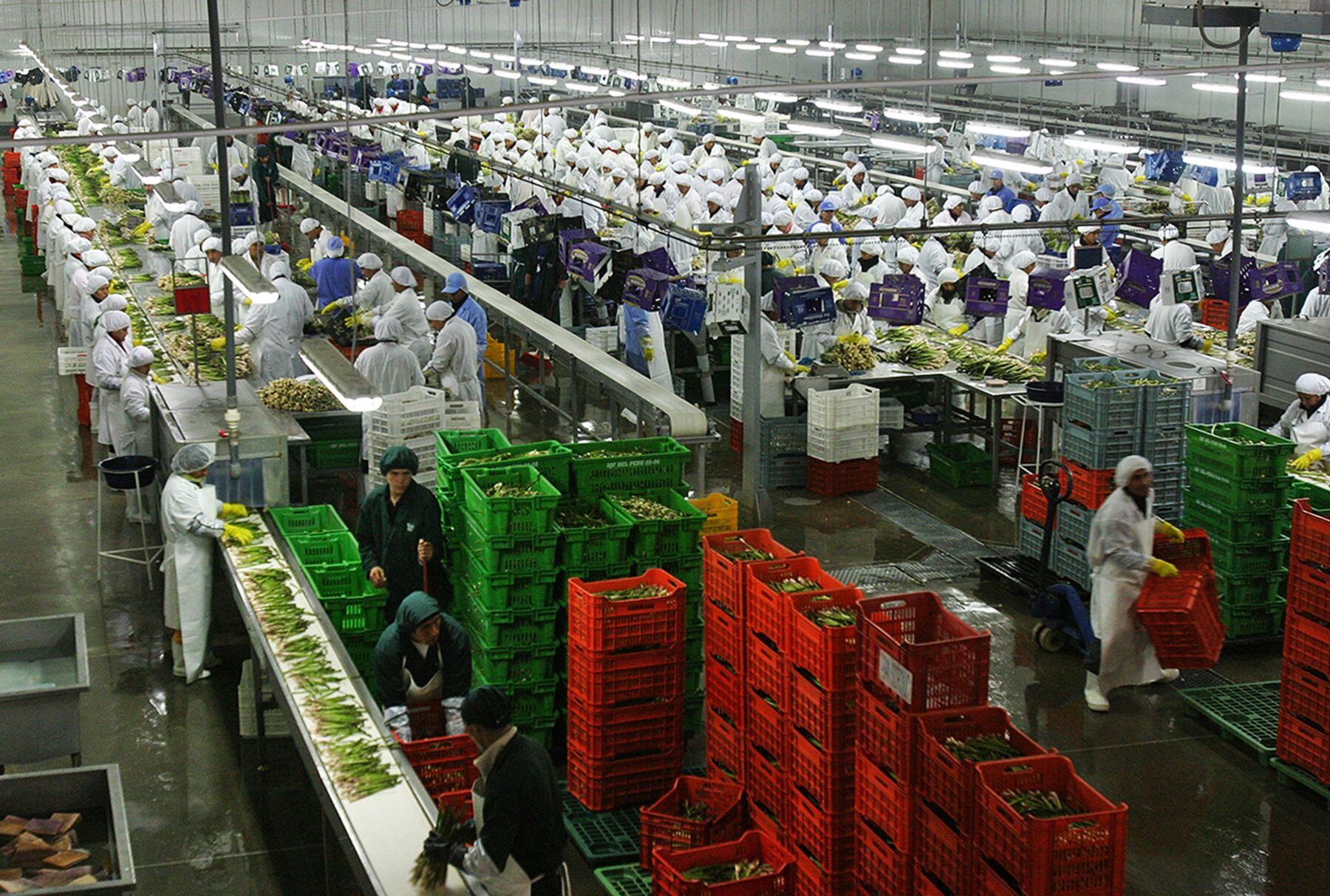 La evolución del empleo no viene siendo dinámica en todas las regiones del país pese a la recuperación de diversos sectores económicos.