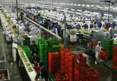 Mercado laboral: ¿En qué regiones podría aumentar el empleo en los próximos meses?