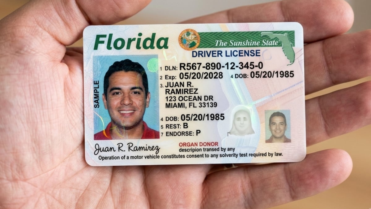 Florida implementará cambios en licencias de conducir desde el 2027: qué cambia y para quiénes