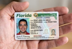 Nuevas licencias de conducir en Florida contarán con el sello “NC”: qué significa y por qué tiene relación con la Ley HB 991 firmada por Ron DeSantis