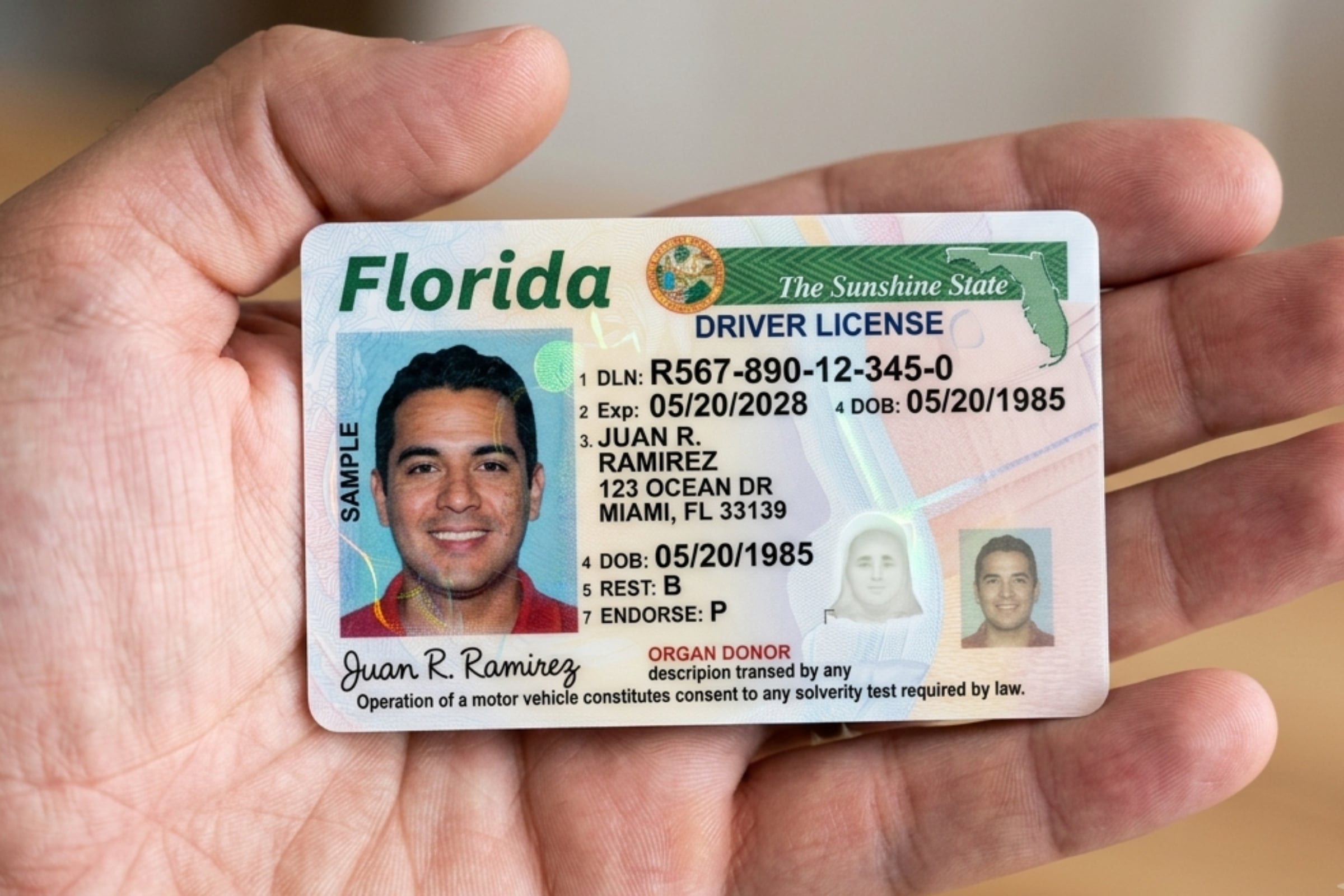 Las nuevas licencias de conducir serán emitidas desde el 1 de enero de 2027 en Florida. (Crédito: Imagen referencial creada por El Comercio MAG usando la IA de Gemini / Imagen no válida legalmente, solo usada con fines educativos / AFP)
