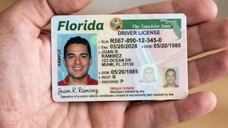 Nuevas licencias de conducir en Florida contarán con el sello “NC”: qué significa y por qué tiene relación con la Ley HB 991 firmada por Ron DeSantis
