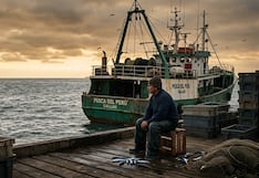 Perú cierra pesca de anchoveta: Chile y los otros países que cubrirían demanda de harina