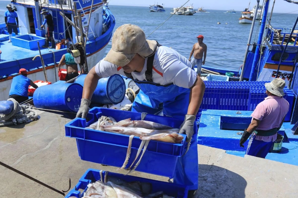 Comité de Pesca y Acuicultura de la SNI presentará estrategia para preservar la producción y el empleo. (Foto: Andina)