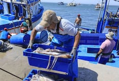 Perú a “dos velocidades”: empleo formal avanza, pero la pesca se hunde