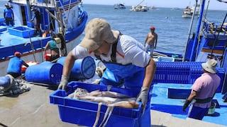 Perú a “dos velocidades”: empleo formal avanza, pero la pesca se hunde