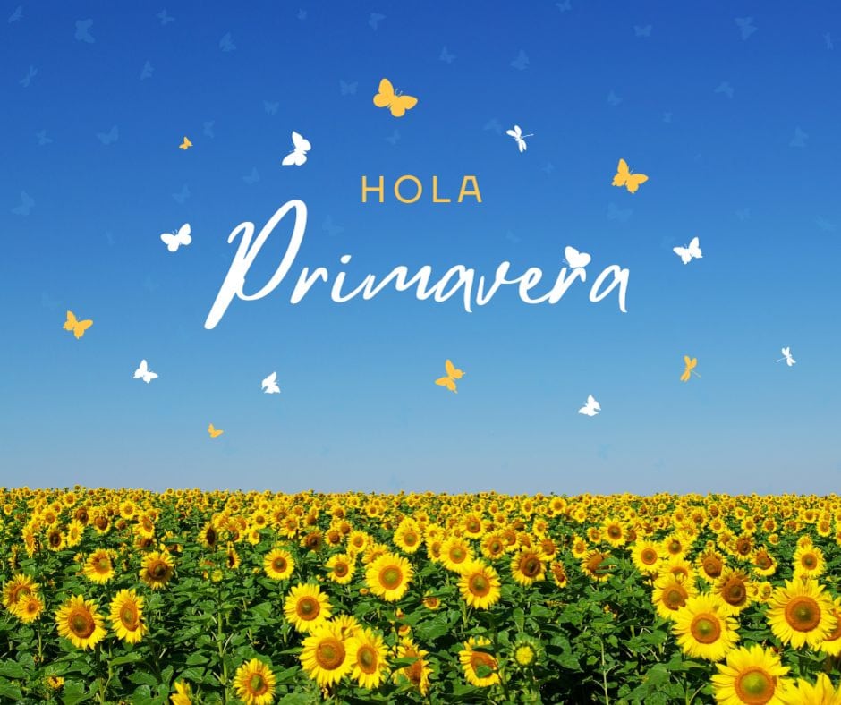 Este sábado 21 de marzo inicia la primavera en México y Estados Unidos, una fecha donde muchas personas regalarán flores amarillas a sus parejas (Foto: Canva.com)