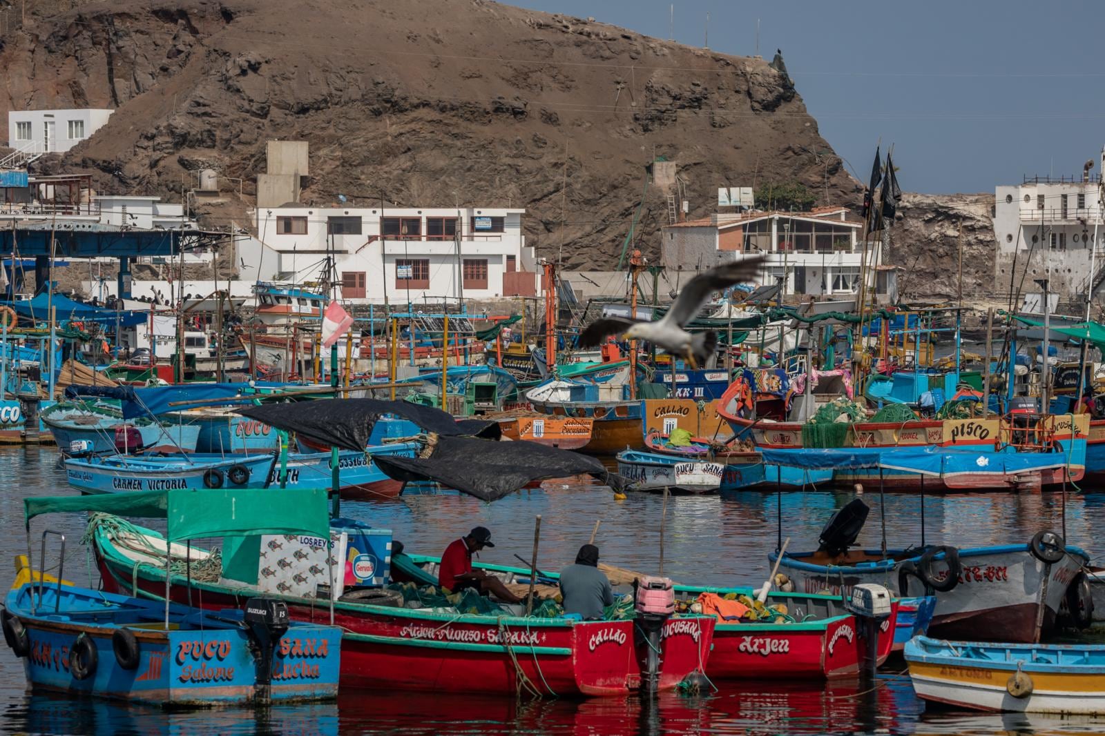 Pucusana tendría su propio puerto en el 2025, dinamizando las importaciones de Lurín y Chilca.