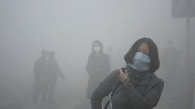 OMS: Nueve de cada diez personas respiran aire contaminado