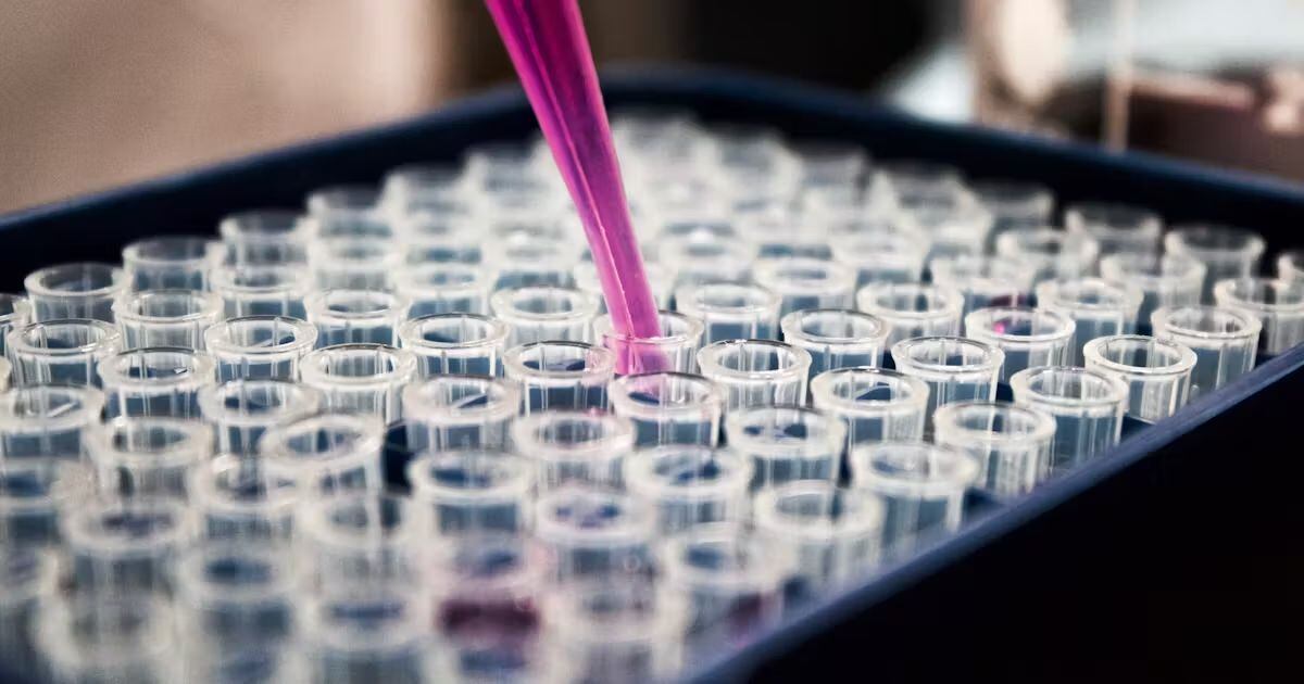 El director general de Luminova Pharma Group, João Carlos de Britto, expone la elección de España como puerta de acceso a Europa por la afinidad con la normativa con la de otros países en los que está presente.