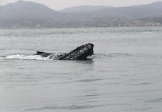 Perú se suma a cooperación internacional para crear cuentas oceánicas y medir PBI marítimo