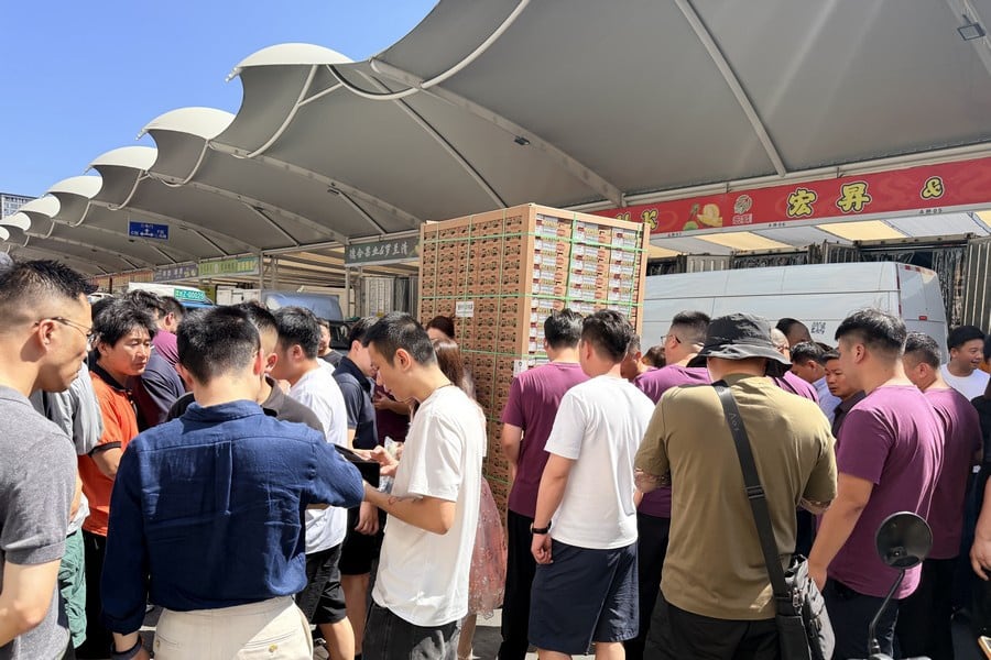 El 10 de julio llegó a Jiaxing, provincia de Zhejiang, el primer cargamento de arándanos peruanos de la temporada 2026.