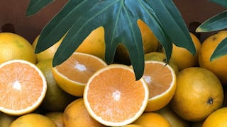 Del café a las naranjas: Kivinaki llega a Europa con cítricos orgánicos de Chanchamayo