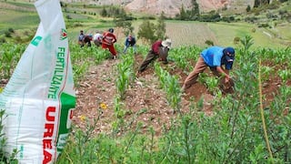 Gobierno aprueba lineamientos para la adquisición de fertilizantes del mercado internacional