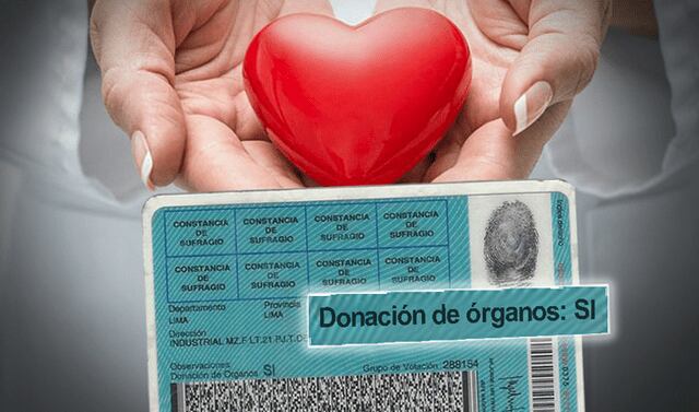 La ley de donación de órganos se encuentra en etapa de reglamentación. Foto: LP