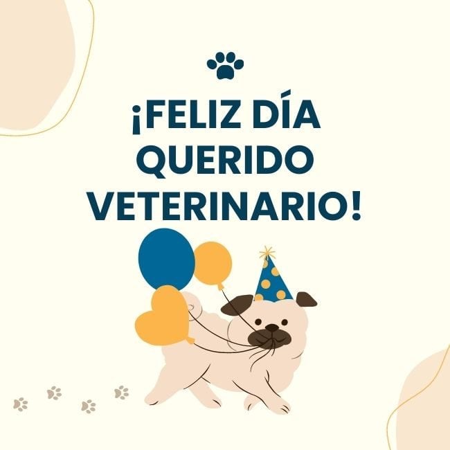 El Día del Veterinario en México se celebra cada 17 de agosto. (unionguanajuato.mx)