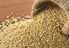 Lanzan programa que buscará beneficiar a más de mil productores de quinua en Puno