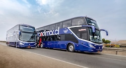 Peruana Modasa acelera en Estados Unidos y va por Canadá en 2026