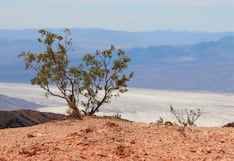 Parece suelo firme, pero no lo es: la alerta del Servicio de Parques de EE. UU. sobre un peligro oculto en el suroeste