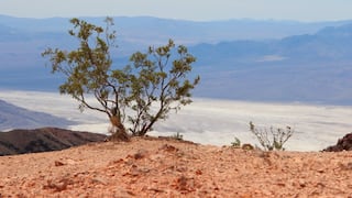 Parece suelo firme, pero no lo es: la alerta del Servicio de Parques de EE. UU. sobre un peligro oculto en el suroeste