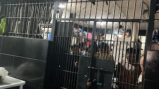 ¿Más cárceles?: crean grupo para proyectos de infraestructura penitenciaria