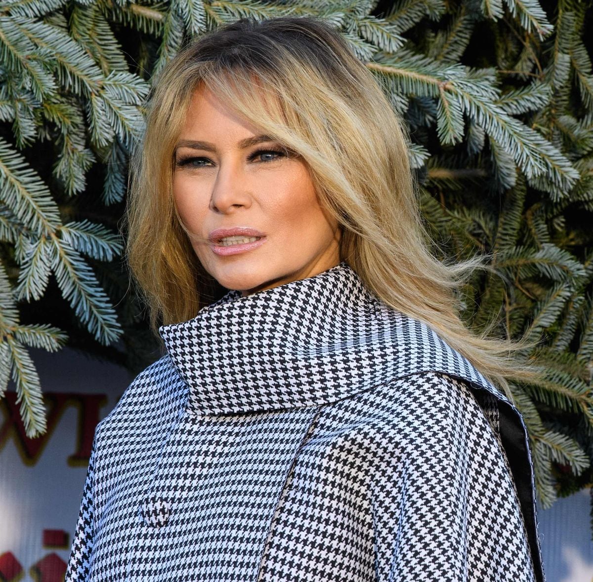 Cuando Melania Trump, siendo primera dama, recibió el árbol de Navidad de la Casa Blanca en la Casa Blanca en Washington, DC, el 23 de noviembre de 2020 (Foto: Nicholas Kamm / AFP)