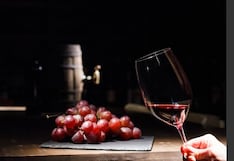 Embajadores del vino y la vid: un homenaje a los enólogos