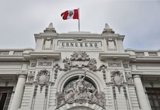 Congreso: proponen incorporar a Código Penal delito de venta de niños y adopción irregular