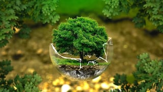 Medioambiente: ¿qué significa y cómo lo protegemos?